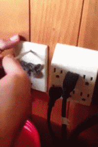 |搞笑GIF:不好意思打扰一下,请问你们是要组团去搞笑吗?