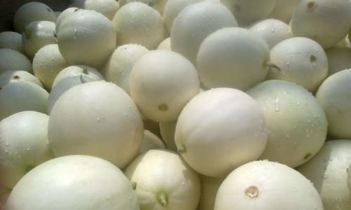 洋葡酸|女性到了中年,多吃几种食物,疏通血管,保护肠胃,增强抵抗力