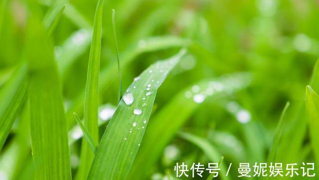 脚心|脾虚的“诱因”被揪出!谨记:喝2水、吃2物,脾不虚、病不找
