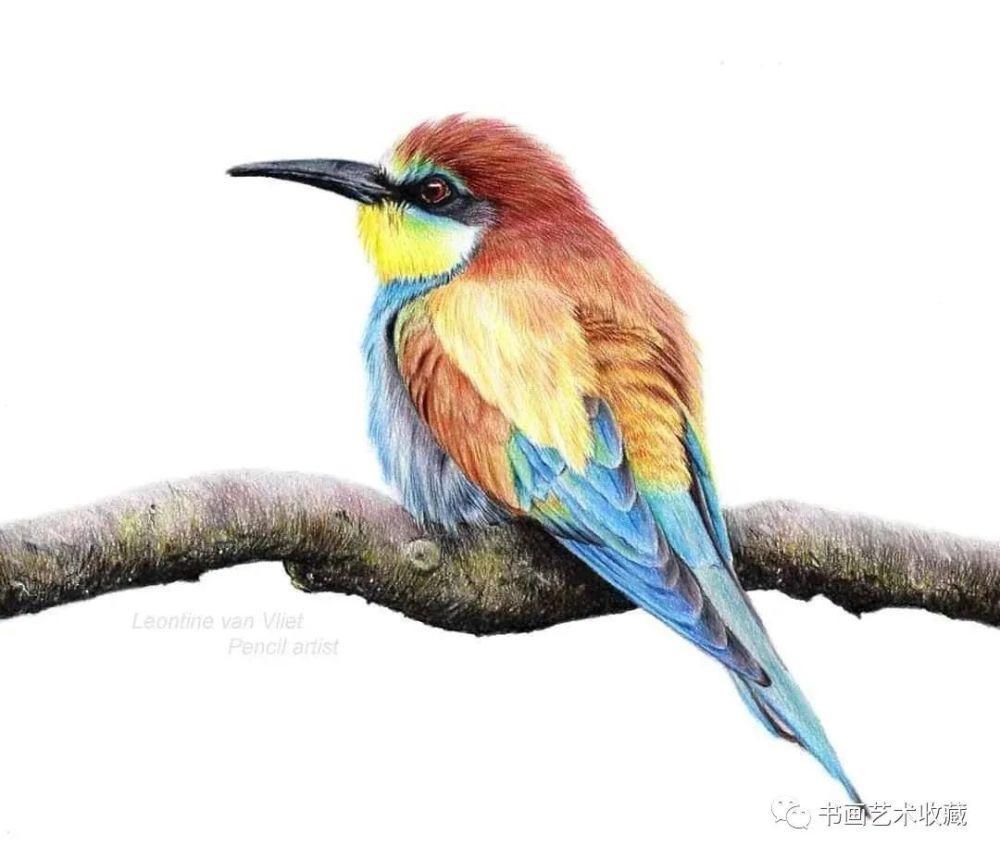  美女|一匹马画了16年！美女学渣逆袭成功，坚持下来很酷！