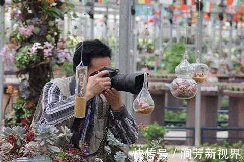 90后大学生放弃朝九晚五的工作,回乡创办多肉种植致富项目