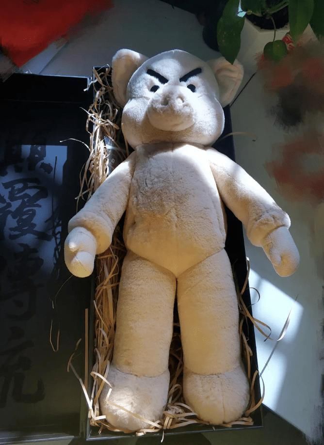 老公|“发现一个手办和我老公长得一模一样,这也太丑了吧!”哈哈哈