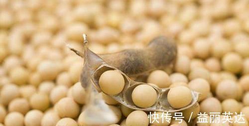 清道夫|高血脂的“清道夫”找到了,每天吃一点,清除血液垃圾,预防血栓