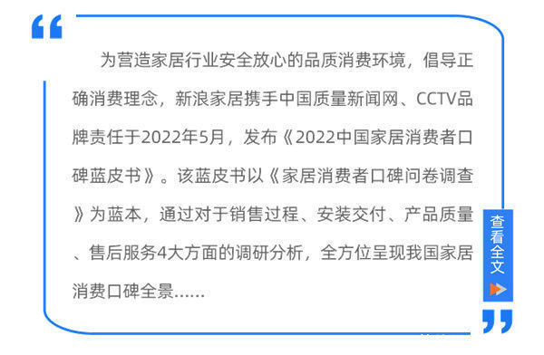 定制|《2022中国家居消费者蓝皮书｜定制类篇》