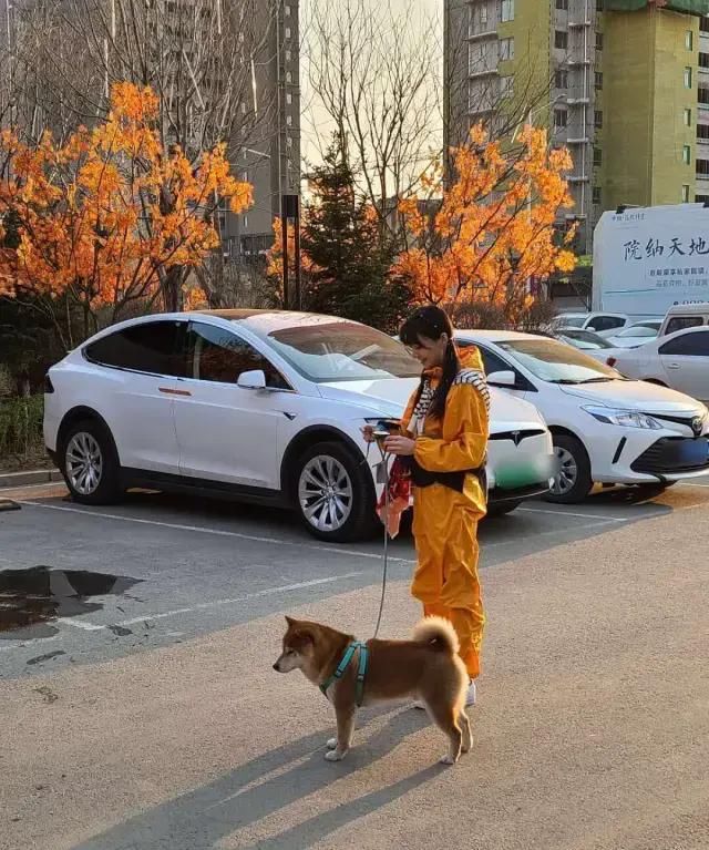 公开互撕!节目上都不装了?