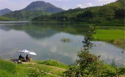 钓草鱼还可以钓底，钓草鱼一定要看准位置，还有以下几个建议，晚春钓草鱼