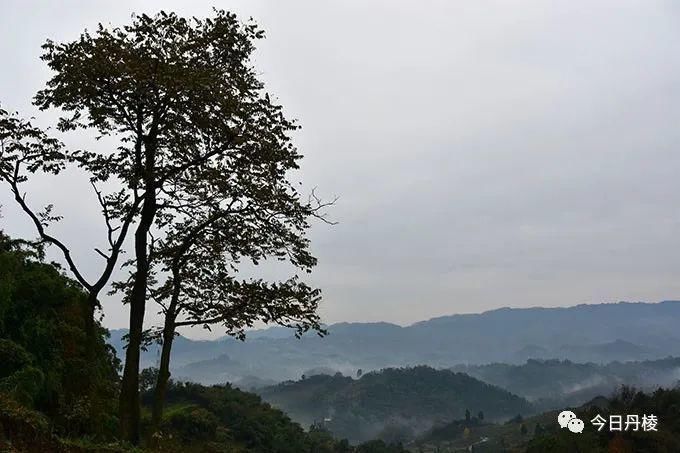 当地村民|顺龙月南山