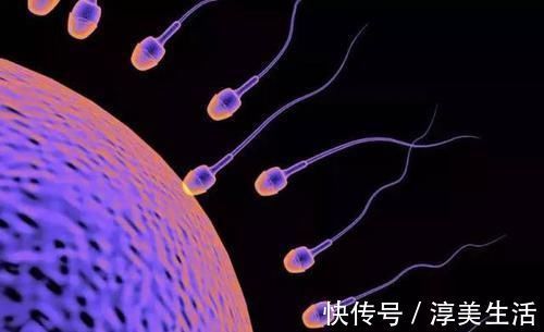 女性|卵子受孕成功时,女性大多是这“感受”,别害羞