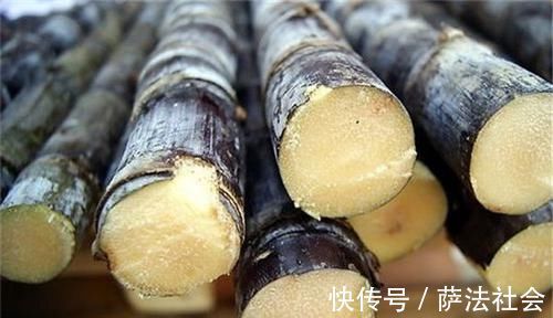 润肺|天然“养肺”的5种食物,每天换着吃,润肺解毒,让肺更健康