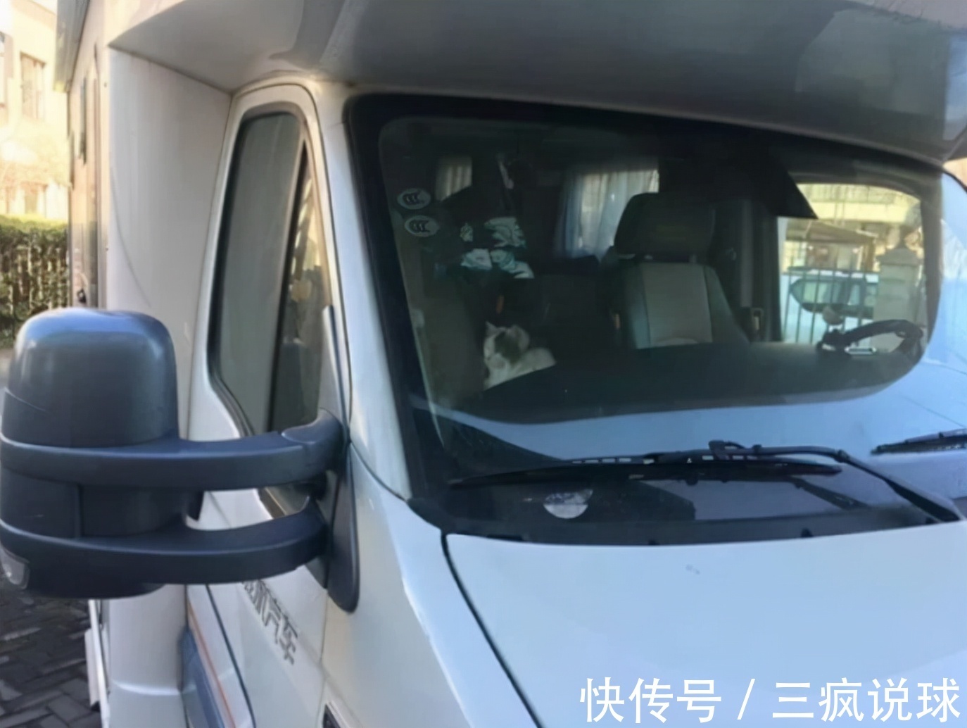 恩师|樊振东恩师久违亮相,退休后海南种地当农民,携宠物开房车自驾游