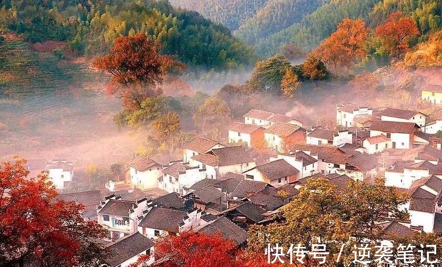 李白|九月,诗意的秋,九月,悲伤的秋