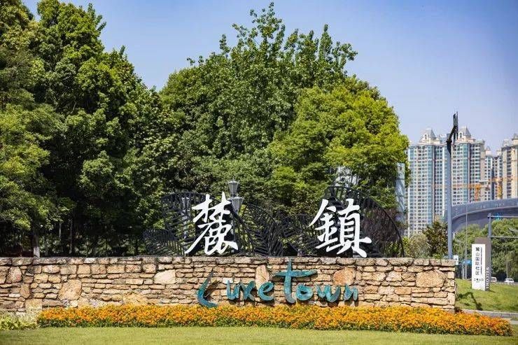 天府新区|麓山3.0时代!市场归位,各房企纷纷祭出杀手锏