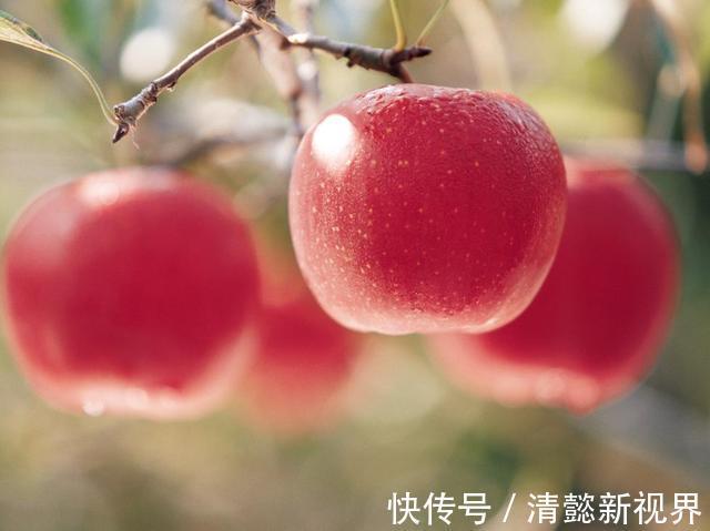 dh3岁男孩,腹痛两天后离世,丈夫迁怒暴打妻子都是你给害的