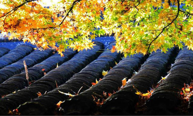 三大|辛弃疾被朋友骗了后一病不起,写下首临终绝笔,道出人生三大真谛