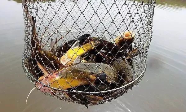 秋钓这4个黄金钓位，千万别放过，鱼都在此扎窝，让你轻松爆护