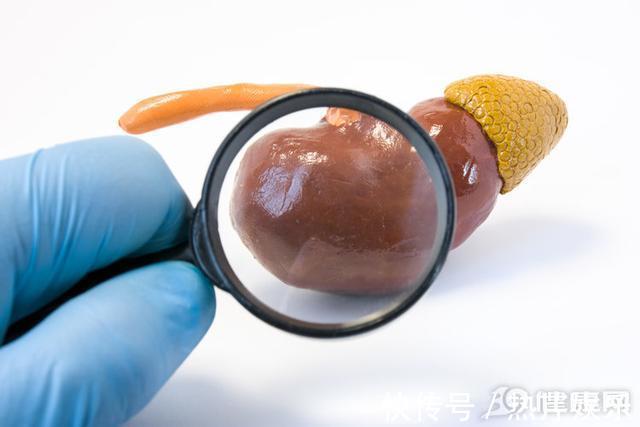 抗体|人得了一次癌症,就有“抗体”了答案和你想的有出入