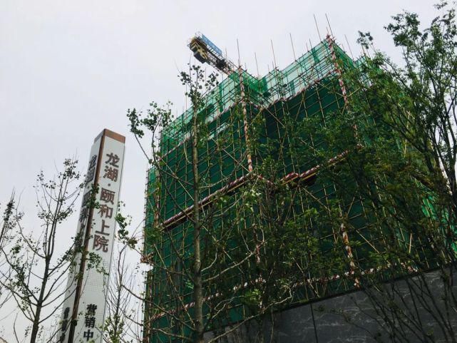 居住区|大丰这个区域将是城北高端居住区？很有可能！