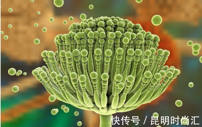 毒素|黄曲霉毒素很狡猾,如果你家里厨房有这5种情况,抓紧收拾