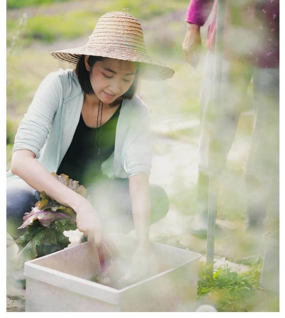 亲近|亲近大自然！陈自瑶「转行」当农夫 开启人生第一次耕田