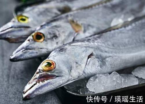 渔民|买带鱼时,挑大的还是小的渔民朋友教我3招,轻松挑到新鲜带鱼