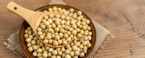 白头发越长越多是怎么回事？答案：或和缺少这些营养有关