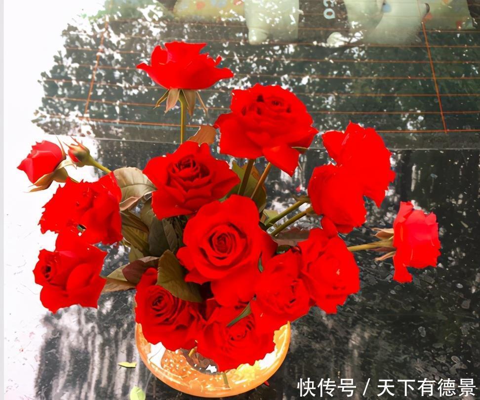 这些漂亮花，有个“赖名字”，开花美如画，叫着太“尴尬”