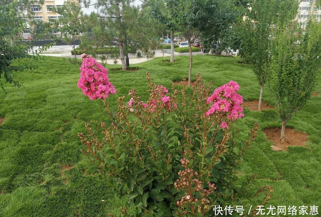 独处|《曾国藩家书》:静心独处有益于养生,舒缓心情可治疗失眠