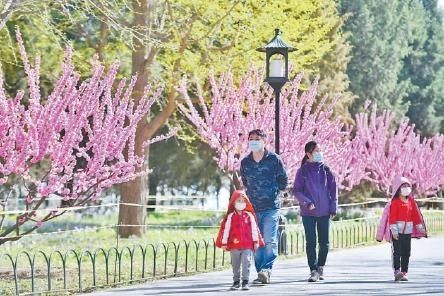 京城公园花团锦簇迎客赏