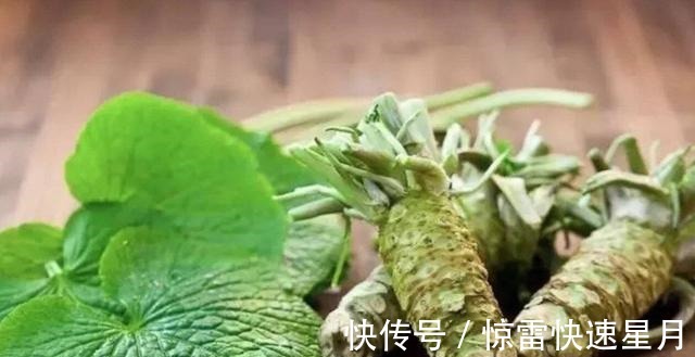 烹调技术基础知识分享—调味篇!