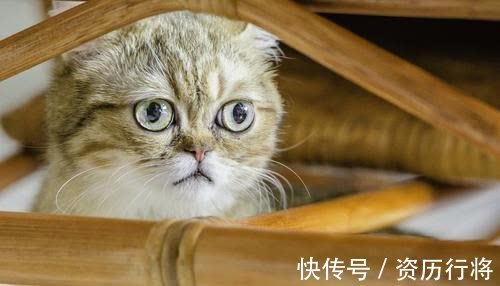 |幽默笑话：有对夫妻吵架吵到最后，谁也不服谁，在陷入僵局的时候