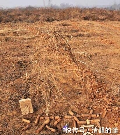 闻名于世|今日亮点:他盗墓失手未发现钱财,却因发现惊世奇书闻名于世