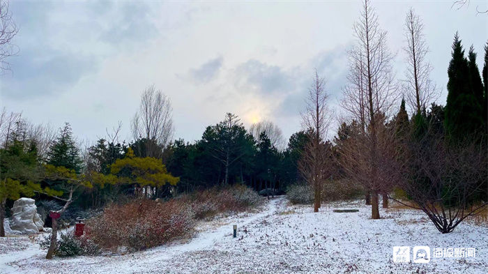 新闻记者|组图｜煮酒温茶，有雪如画 邂逅2021年末这场大雪