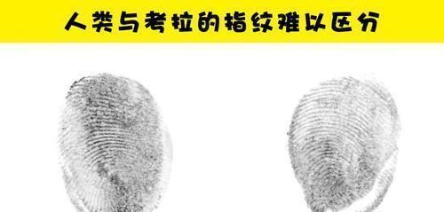 骨头|学校里可能没有教过你的10个很有趣的小知识