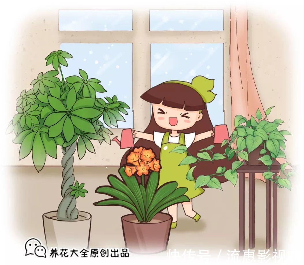 10个养花的坏习惯,赶紧改,不然真是浪费钱!