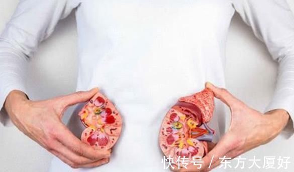 肾气|三斤枸杞抵不过此物一钱,日常泡水喝,祛肝火补肾气,健康长寿!