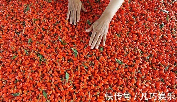 泡水|枸杞加此物泡一泡,每天喝一杯,肝脏变强了,视力也变好了!