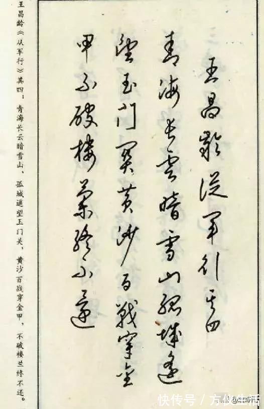 江南草木记.昙花!钢笔草书古诗词——经典老字帖,收藏慢慢练