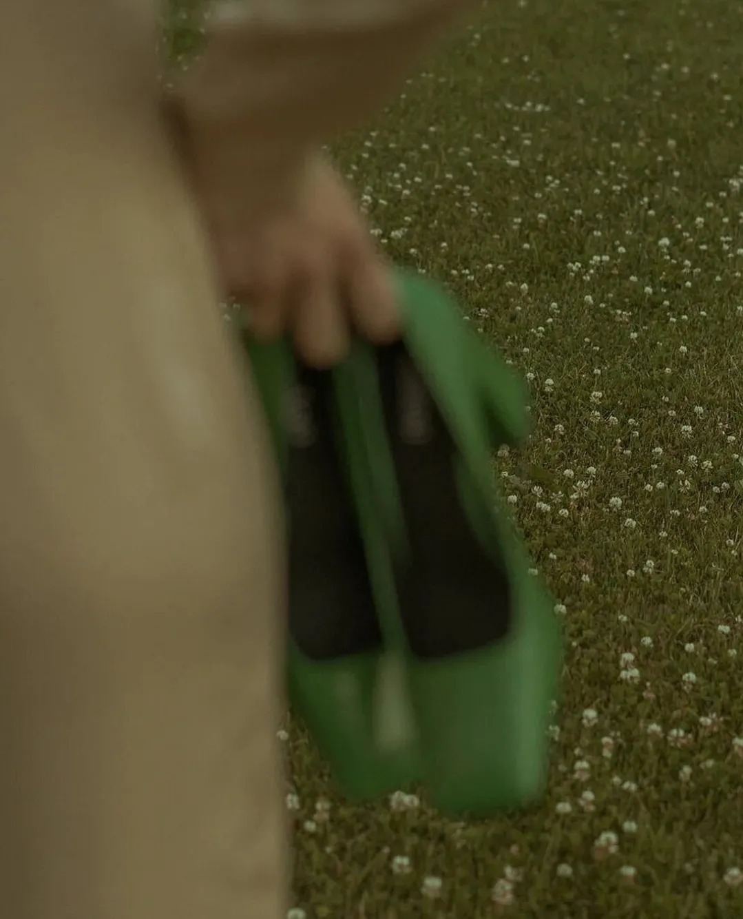 狄金森#诗人酒馆 | 艾米莉?狄金森:我从未看过荒原