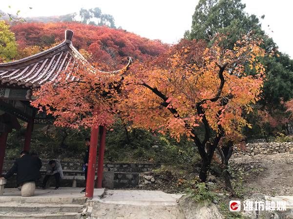 石门坊景区|夕照映红叶，不亦美哉