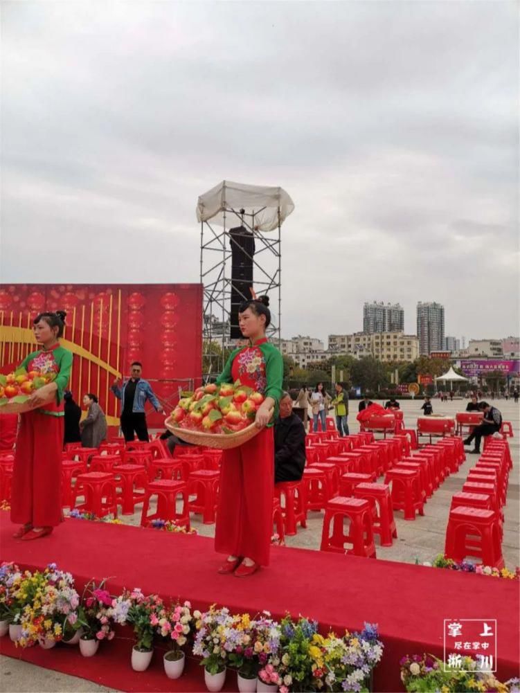  淅川|来了，央视节目来淅川了！『喜上加喜』明天体育场见！