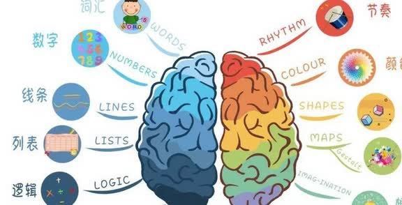 想象力|哈佛研究表明:右脑发达的孩子会有这3个特征,长大后列容易成功