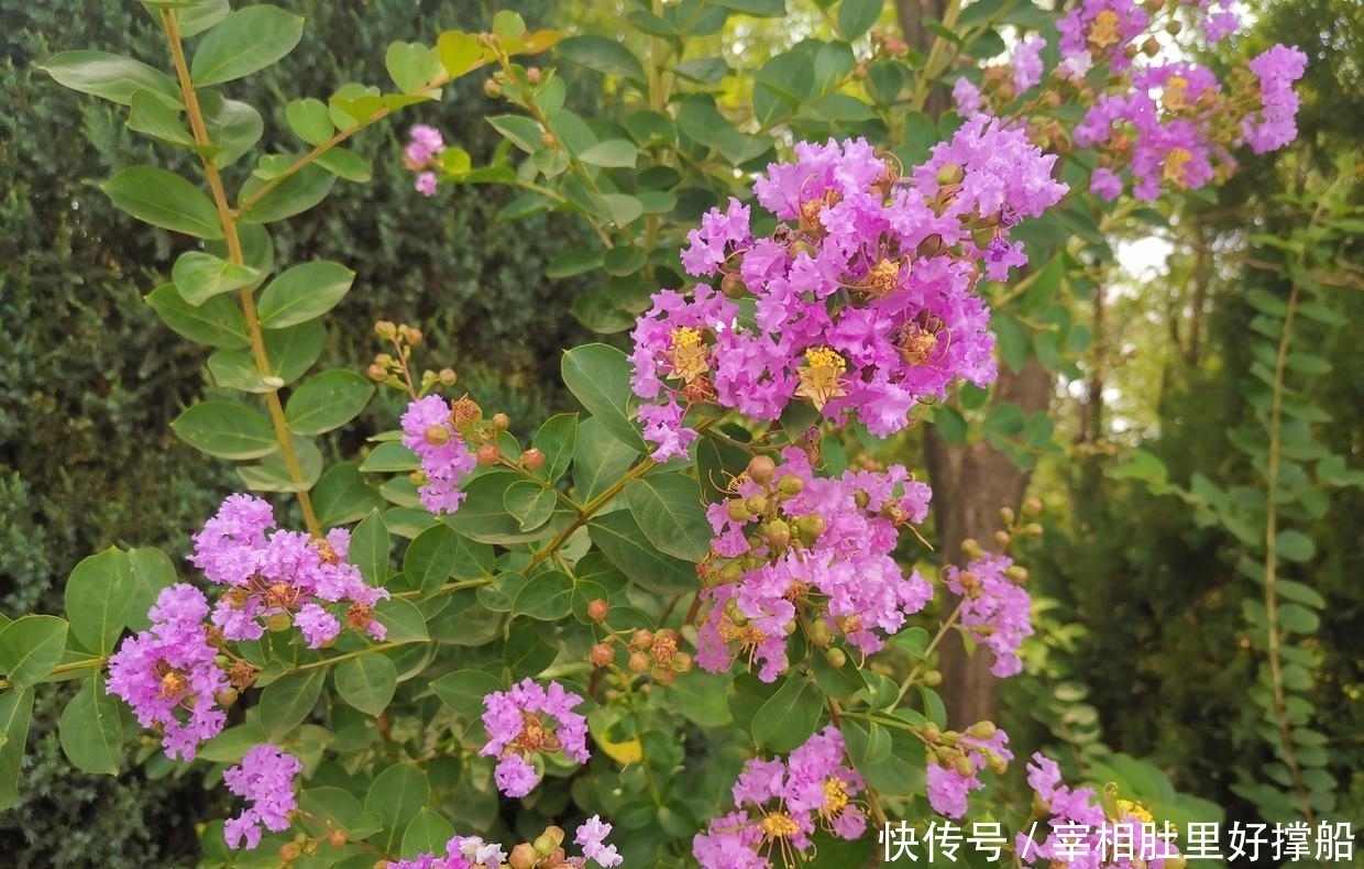 大事|曾国藩:办大事需要有心理准备,做到尽心尽力问心无愧为好