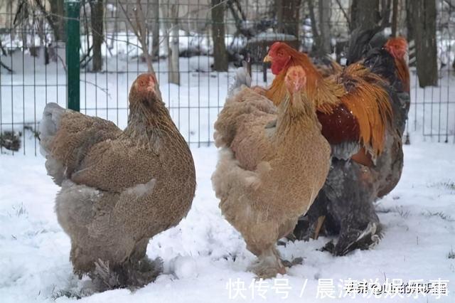 12个冷知识:初看可能会觉得有些荒诞,但却真实存在