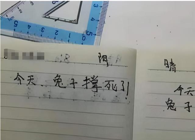 辅导作业|小学生“流水账”日记火了,强行凑字太难了,看完让人哭笑不得