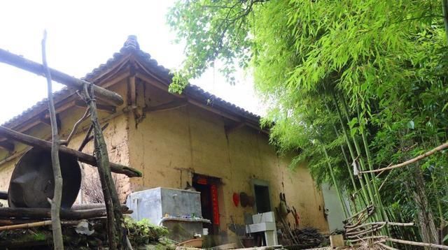 手艺|秦岭深山,主人家做饭手艺不错,满屋子香味