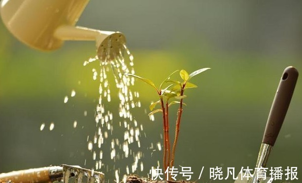 养花|喜欢养花,先戒掉7个坏习惯,不然啥花也养不好,你占了几个?