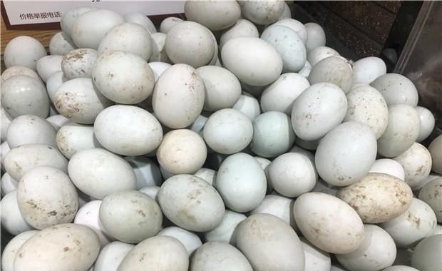 鸡蛋、鸭蛋、鹅蛋哪个营养最高今天总算知道了，以后别再吃错了