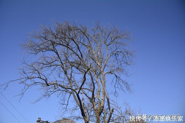 中年|山村百余口如今就剩5个人，隔沟相望的两户邻居，过成一家亲