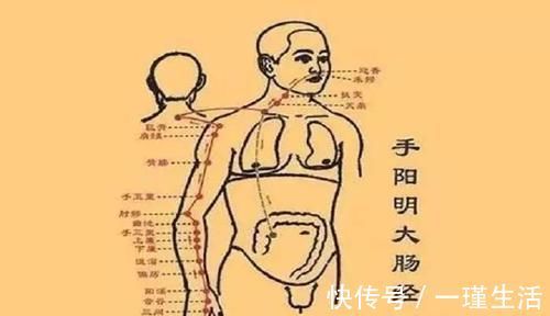 人体|默默讲穴位之曲池穴，它是人体自带的降压穴，人到中年要多揉一揉