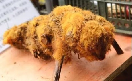 小偏方|一个简单小偏方,太神奇!腰间盘突出折腾很长时间,现在终于痊愈